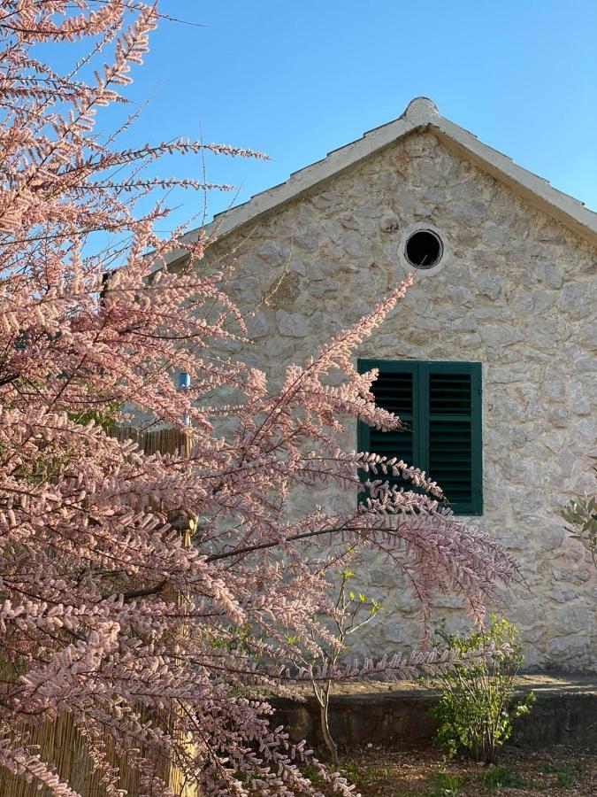 Villa Mediterranean Olive WaterfallsKRKA-Croatia Gulin Exterior foto