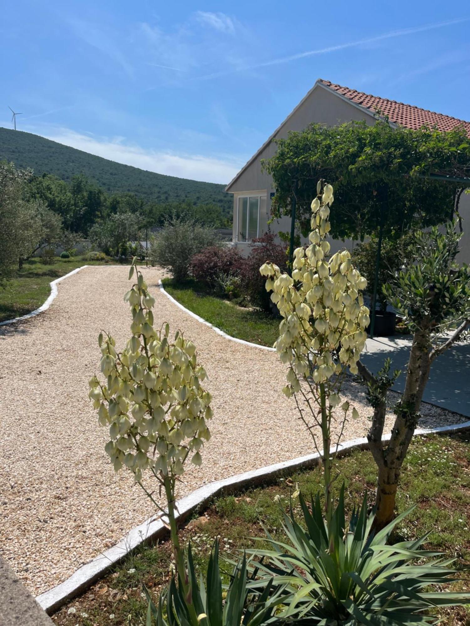 Villa Mediterranean Olive WaterfallsKRKA-Croatia Gulin Exterior foto